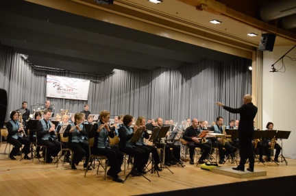 Schwyzer Kantonales Gesangs- und Musikfest - Küssnacht am Rigi 2014 (7)