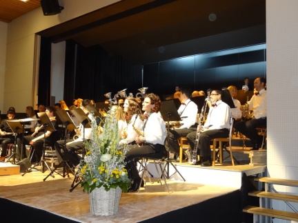Unterhaltungsmusikkonzert 2013 (16)